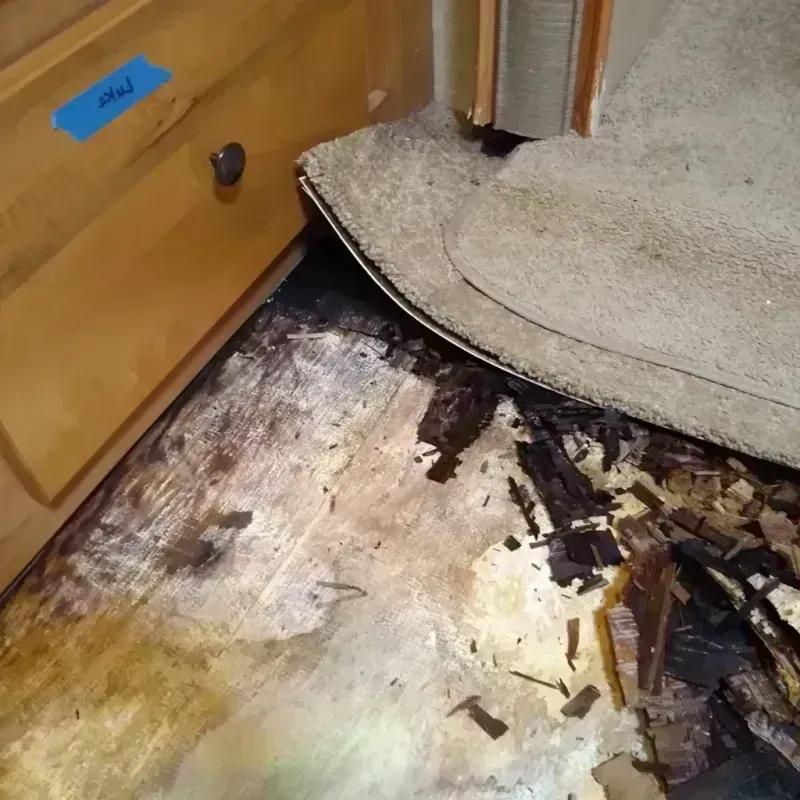 Best Wood Floor Water Damage Service in Chester, MT